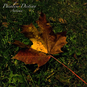 欧美孕妇交受❌❌❌高潮1
